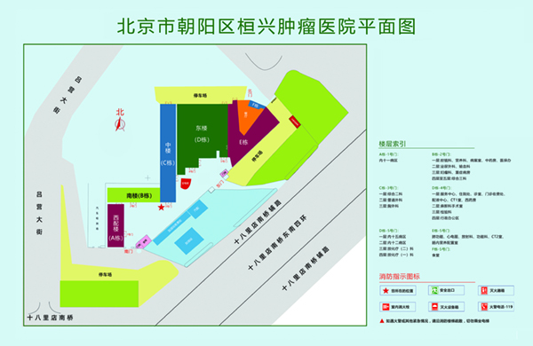 把鸡巴插进小穴里视频北京市朝阳区桓兴肿瘤医院平面图